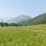 Vernel